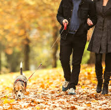 autumn_walking_2.jpg