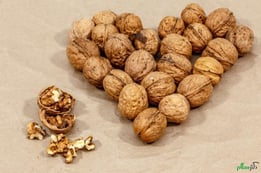 Walnut Love.jpg